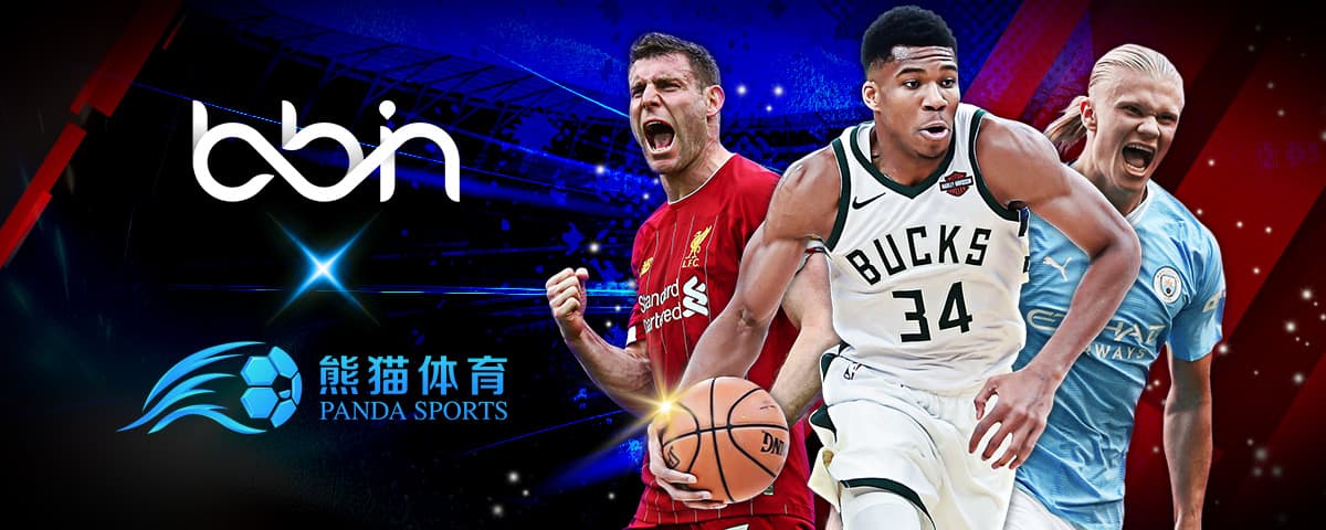 它们不仅是